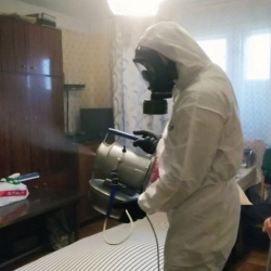 Дезинфекция от клопов Ярково
