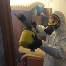 Уничтожение клопов в квартире. Ярково